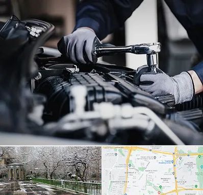 تعمیرکار خودرو در باغ فیض