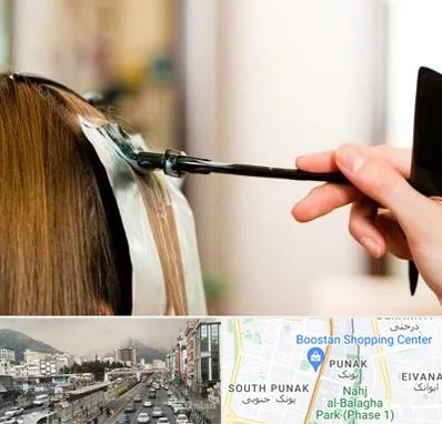 سالن رنگ مو در پونک