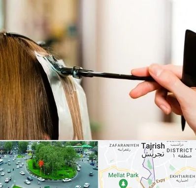 سالن رنگ مو در تجریش