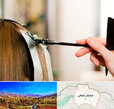 سالن رنگ مو در خراسان شمالی