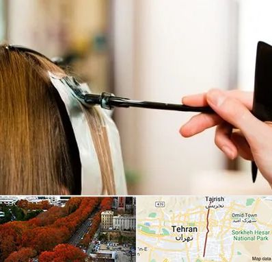 سالن رنگ مو در ولیعصر