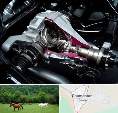 تعمیر دیفرانسیل در چمستان