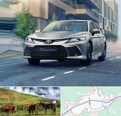 تعمیرگاه تویوتا در تالش