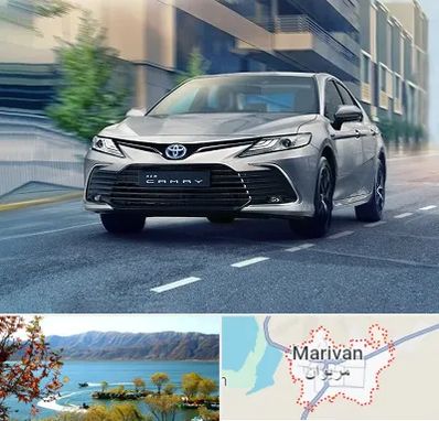 تعمیرگاه تویوتا در مریوان