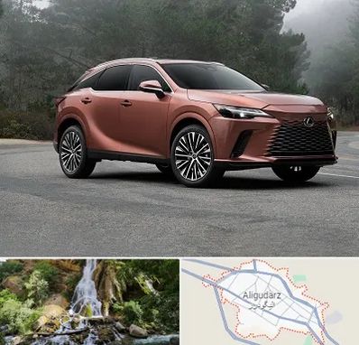 تعمیرگاه لکسوس در الیگودرز