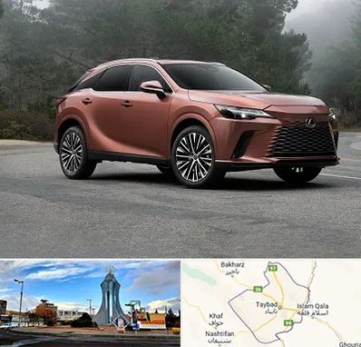 تعمیرگاه لکسوس در تایباد