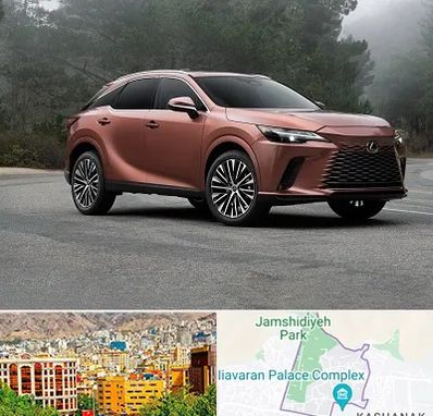 تعمیرگاه لکسوس در نیاوران 