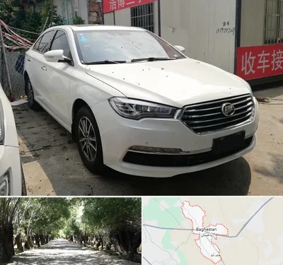 تعمیرگاه لیفان در باغستان