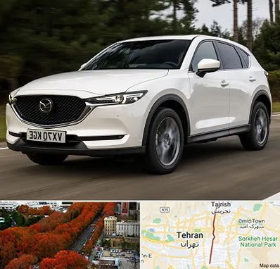 تعمیرگاه مزدا در ولیعصر 