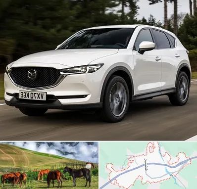 تعمیرگاه مزدا در تالش