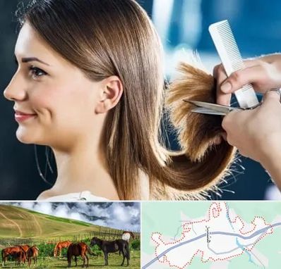 آرایشگاه کوتاهی مو در تالش