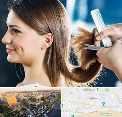 آرایشگاه کوتاهی مو در تهرانپارس