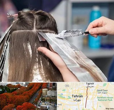 آرایشگاه رنگ مو در ولیعصر