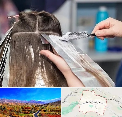 آرایشگاه رنگ مو در خراسان شمالی