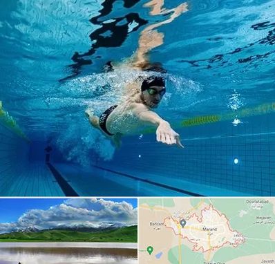 باشگاه شنا در مرند