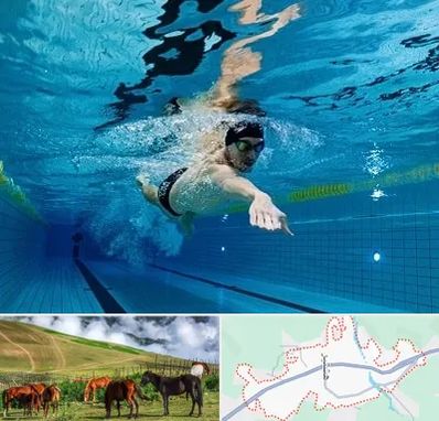 باشگاه شنا در تالش