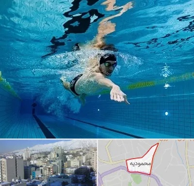 باشگاه شنا در محمودیه