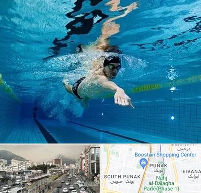 باشگاه شنا در پونک