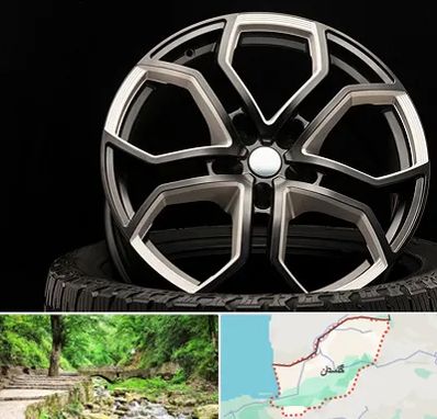 فروشگاه رینگ و لاستیک در گلستان