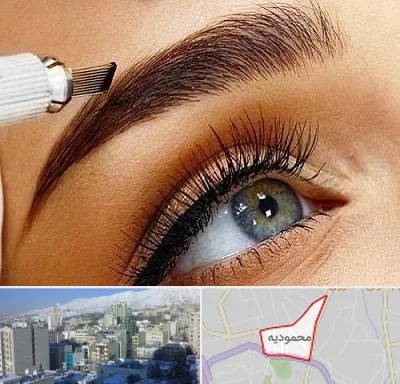 آموزش فیبروز ابرو در محمودیه