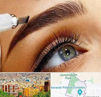 آموزش فیبروز ابرو در نیاوران 