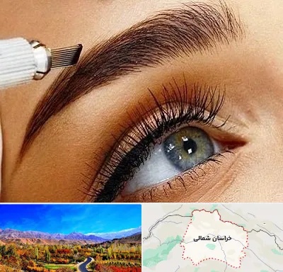 آموزش فیبروز ابرو در خراسان شمالی