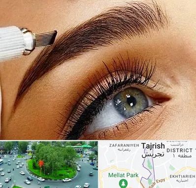 آموزش فیبروز ابرو در تجریش 