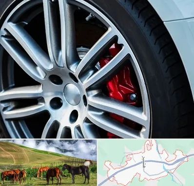 لاستیک فروشی در تالش