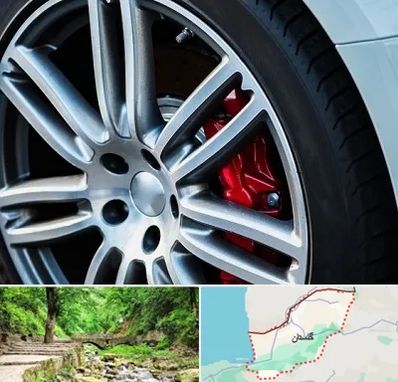 لاستیک فروشی در گلستان