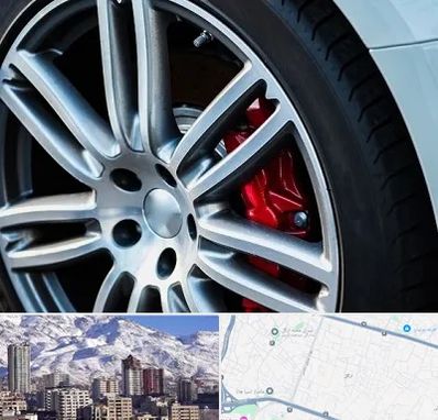 لاستیک فروشی در ازگل