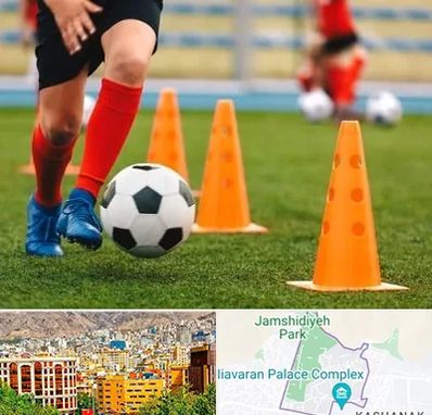 آموزشگاه فوتبال در نیاوران