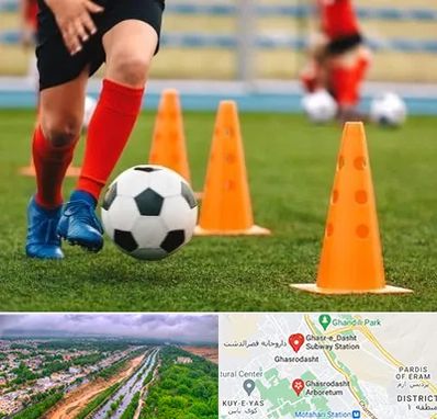 آموزشگاه فوتبال در قصرالدشت شیراز
