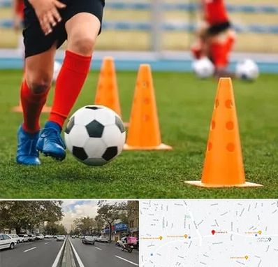 آموزشگاه فوتبال در دولت