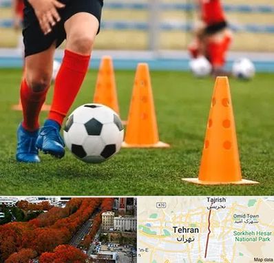 آموزشگاه فوتبال در ولیعصر