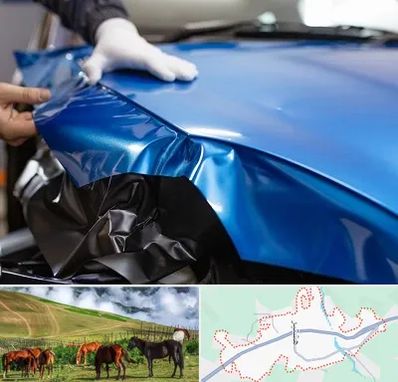 کاور بدنه خودرو در تالش