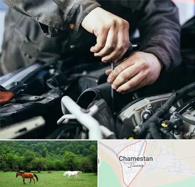 مکانیک سیار در چمستان