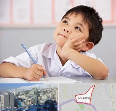 مدرسه ابتدایی پسرانه در محمودیه