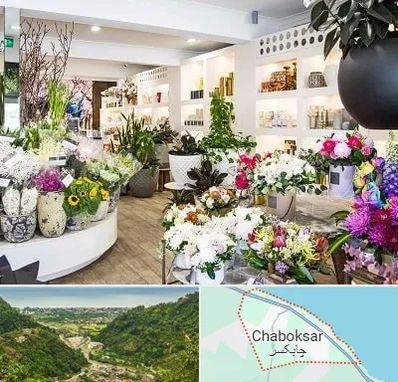 گل فروشی در چابکسر
