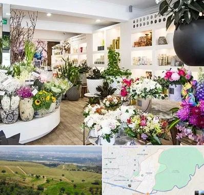 گل فروشی در سوهانک