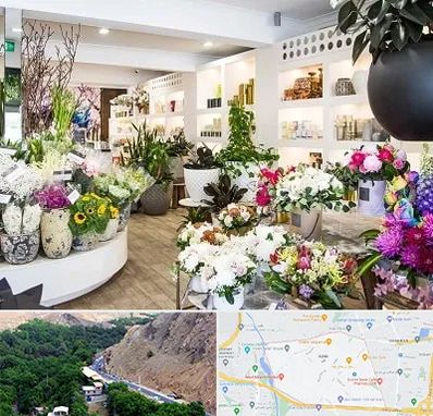 گل فروشی در کن