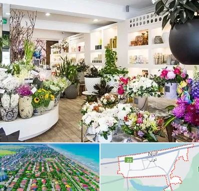 گل فروشی در نور