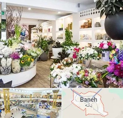 گل فروشی در بانه