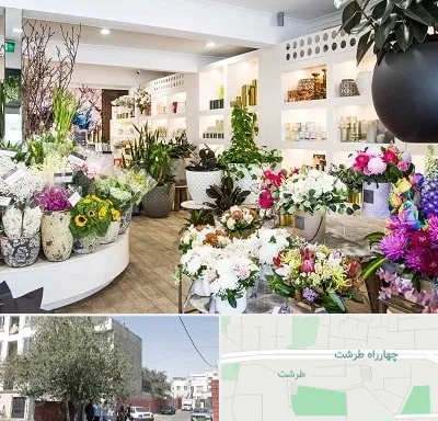 گل فروشی در طرشت