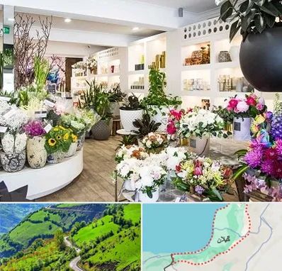 گل فروشی در گیلان