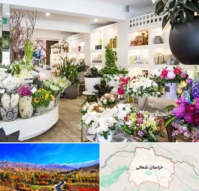 گل فروشی در خراسان شمالی