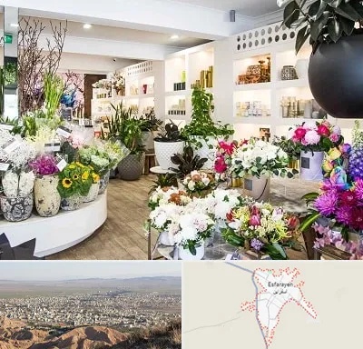 گل فروشی در اسفراین
