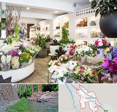 گل فروشی در سراوان