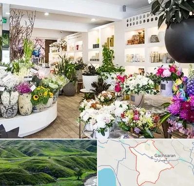 گل فروشی در گچساران