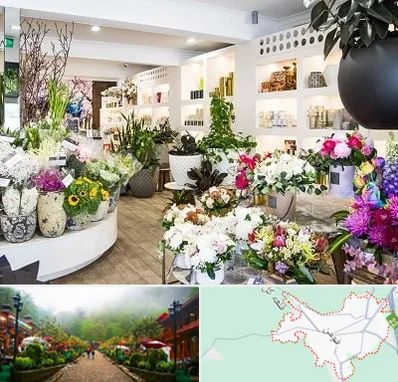 گل فروشی در فومن