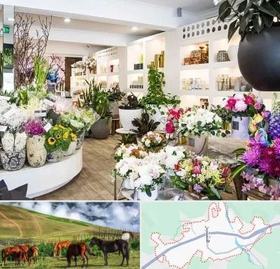 گل فروشی در تالش